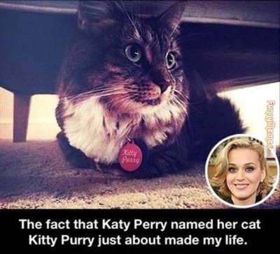 That is one cool fact