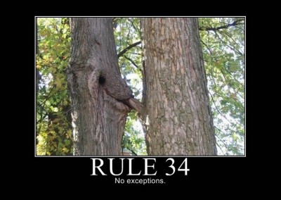 Rule 34