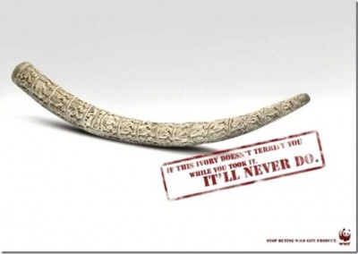 Elephants Are Not Here For Your Pleasure