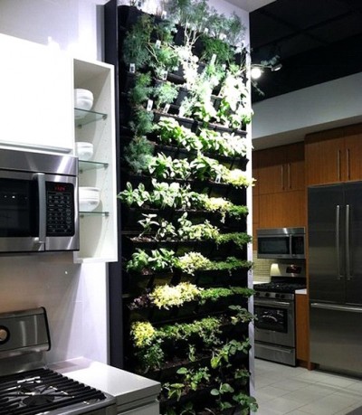 Indoor Vertical Garden