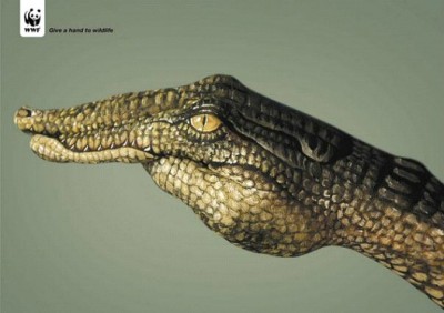 Even Crocodiles Deserve To Live