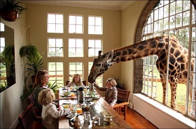 Giraffe Manor, Kenya