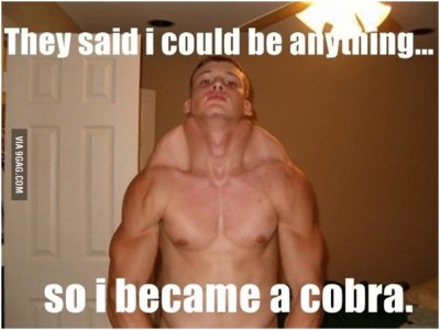 Cobra-Man