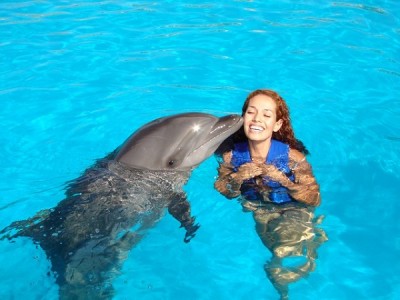 Dolphins