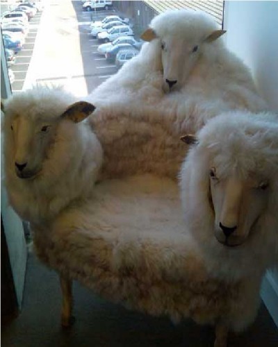 Sheep chair