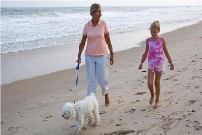 Walk The Dog