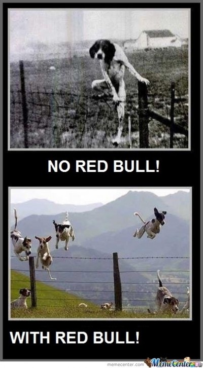The difference to dogs