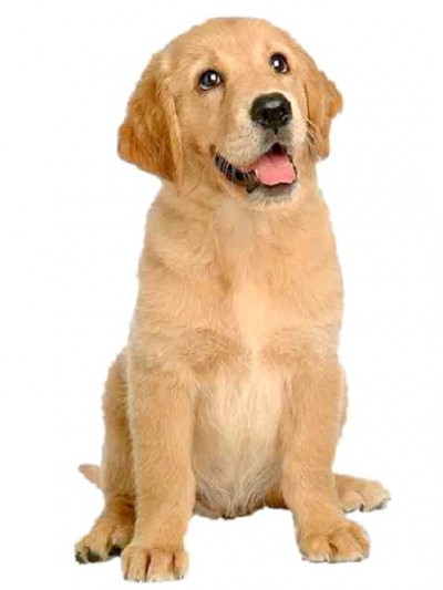 Sit
