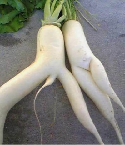 Raunchy Turnips