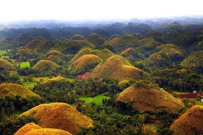 Chocolate Hills
