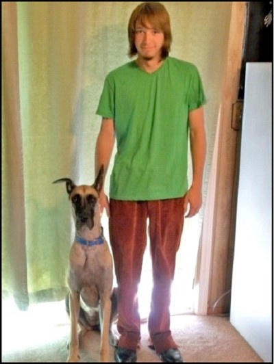 Shaggy And Scooby