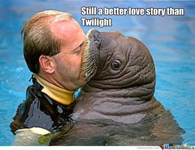 Aww how cute