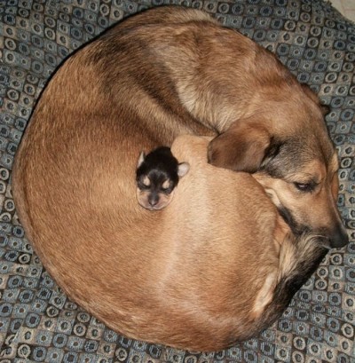 Mummy Love