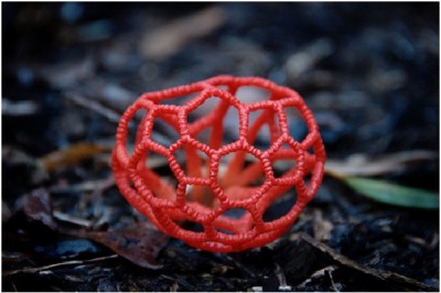 Globe Mushroom