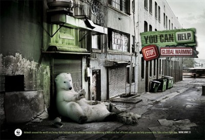 Polar bears