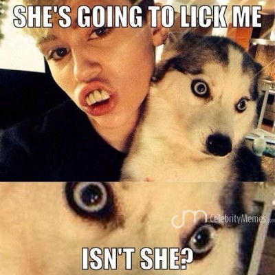 Poor Pooch
