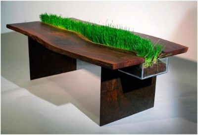 Cat Grass Table