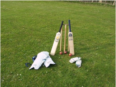 Cricket