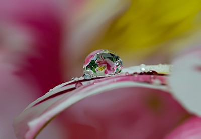 Enchanting