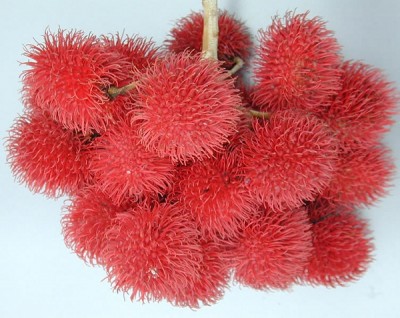 Rambutan