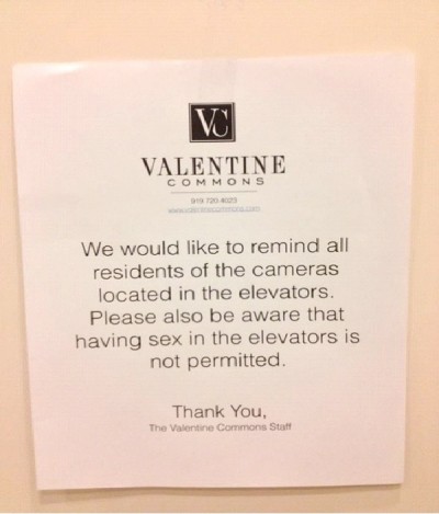 sex In The Elevators