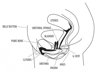 The G-Spot