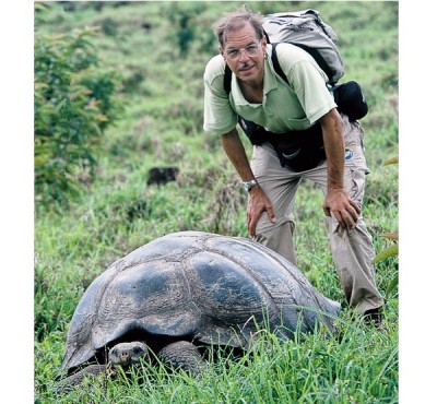 Pinta Island tortoise