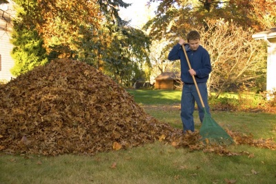 Use a Broom to Clean Your House