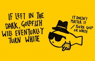 An albino goldfish?