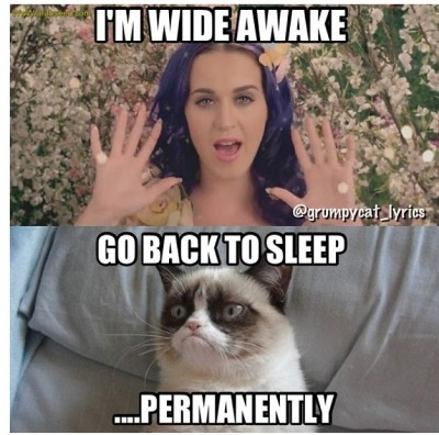 Grumpy cat does not like