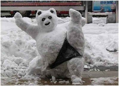 A sexy bear