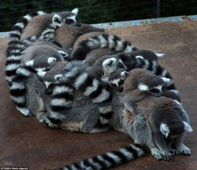 Pillow pile-up