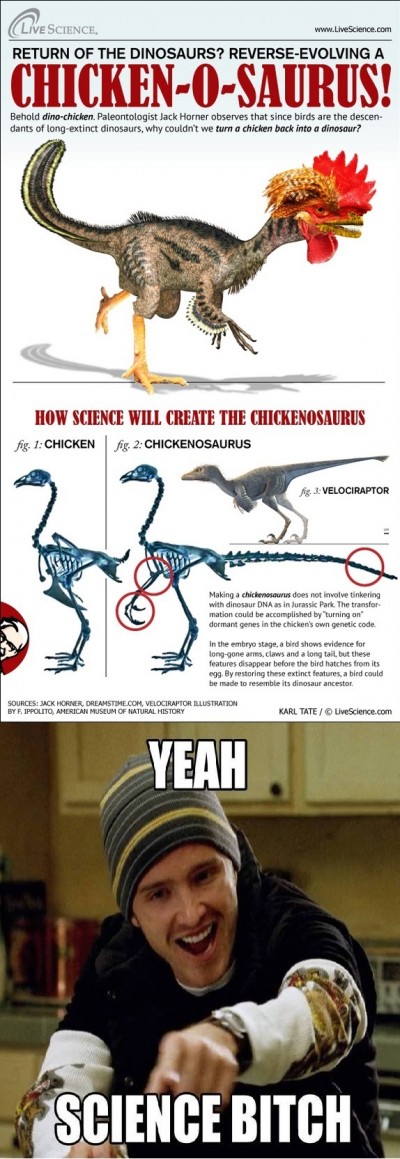 They will do what?