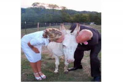 Wedding Photograph Disasters