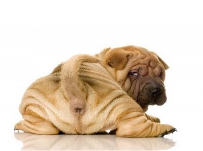 Wrinkles all over