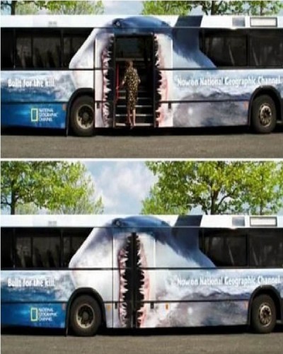 Shark bus