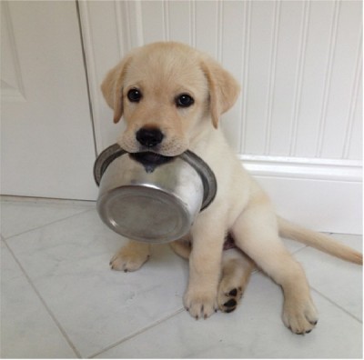 'I'm Hungry!'