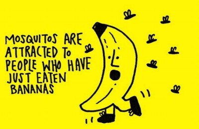 Why bananas?