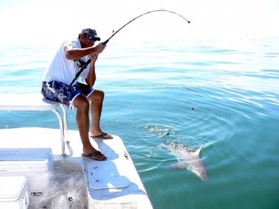 Fishing