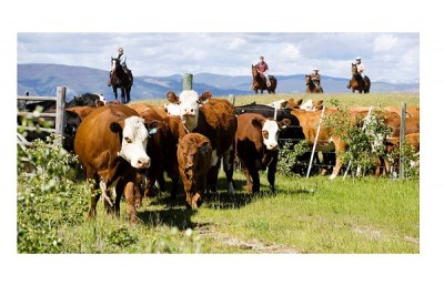 Ranchers and Farmers
