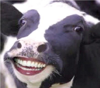 Supercows
