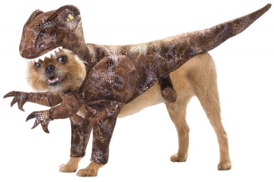 Dog costume