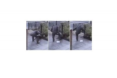 Shocking Picture of a Thug Hitting His Pet