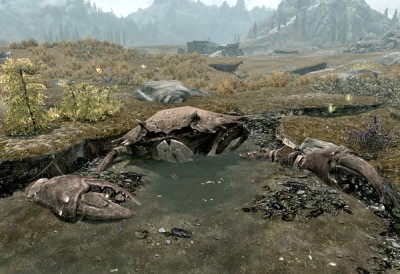 The giant crab