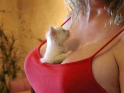 Kitty Lovin'