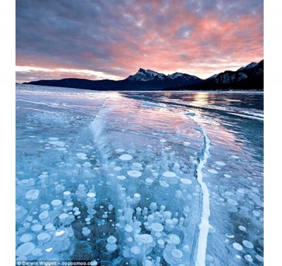 Abraham Lake