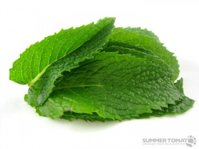 Peppermint