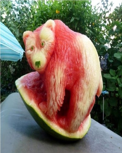 Bear Watermelon