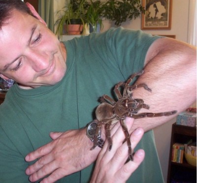 Goliath Birdeater