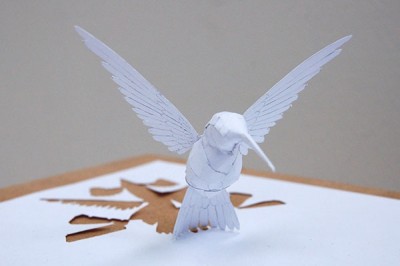 Hummingbird